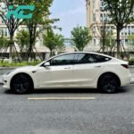 G03 Pepper White