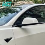 G03 Pepper White