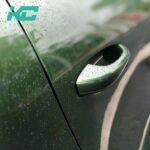 J18 Mamba Green