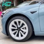 L17 Eucalyptus Green