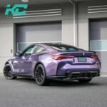 R09 Rosemary Purple