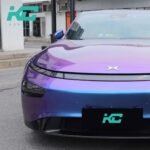 Z11 Blue Violet Rose