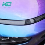 Z11 Blue Violet Rose
